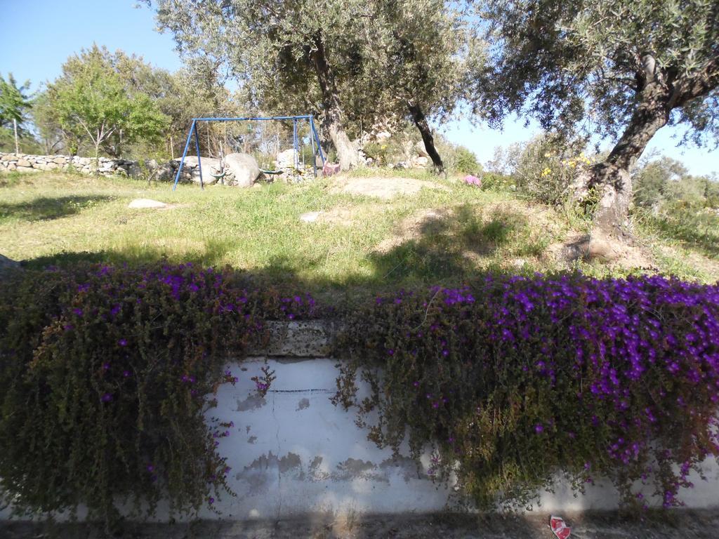Villa L'Oleandro โอเลียนา ภายนอก รูปภาพ