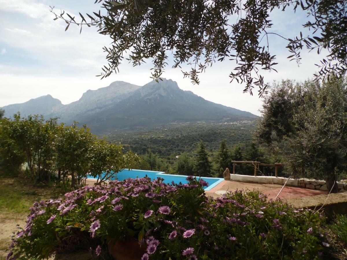 Villa L'Oleandro โอเลียนา ภายนอก รูปภาพ