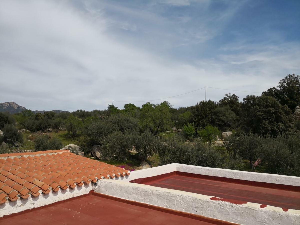 Villa L'Oleandro โอเลียนา ภายนอก รูปภาพ