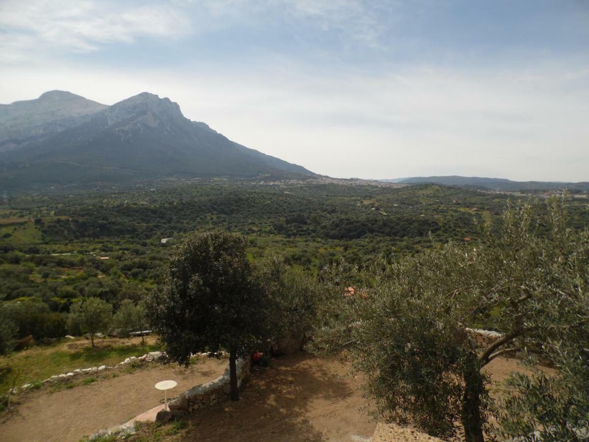 Villa L'Oleandro โอเลียนา ภายนอก รูปภาพ