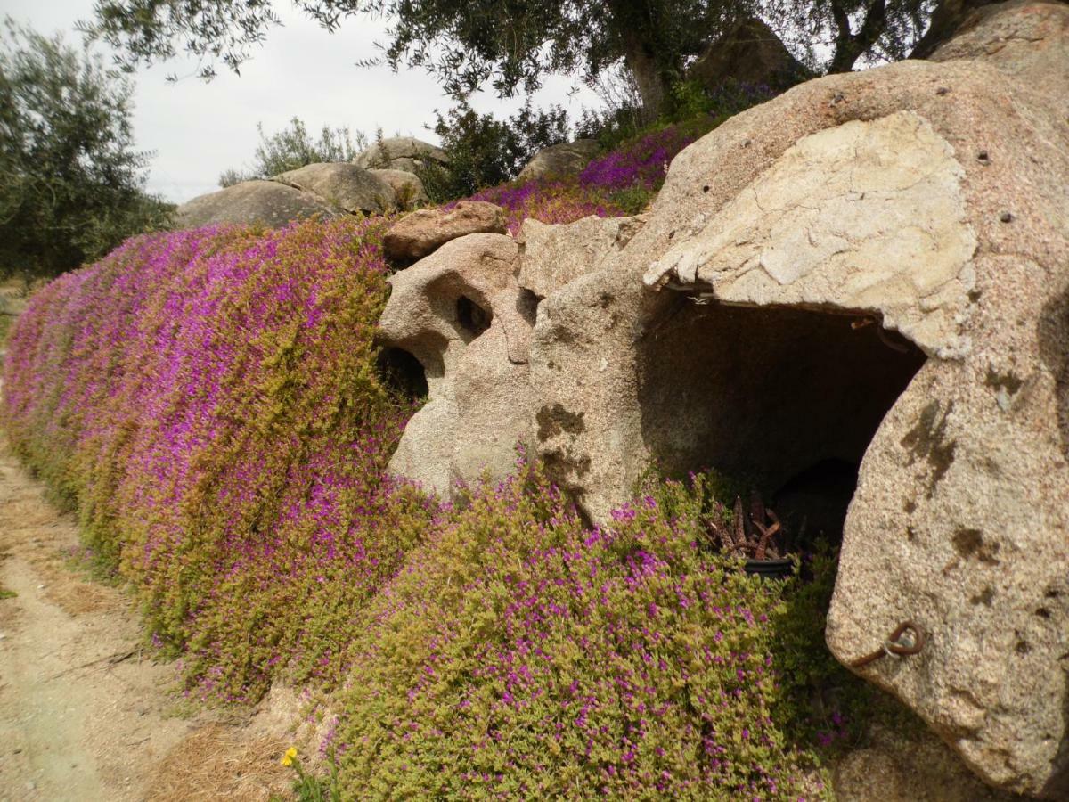 Villa L'Oleandro โอเลียนา ภายนอก รูปภาพ