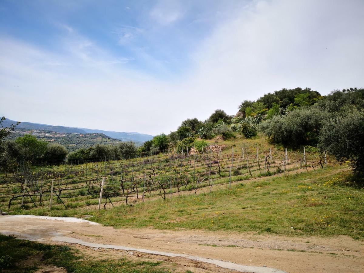 Villa L'Oleandro โอเลียนา ภายนอก รูปภาพ